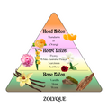 Fragrance pyramid showing head, heart, and base notes for Zolyque perfume, including mandarin, peony, and vanilla.