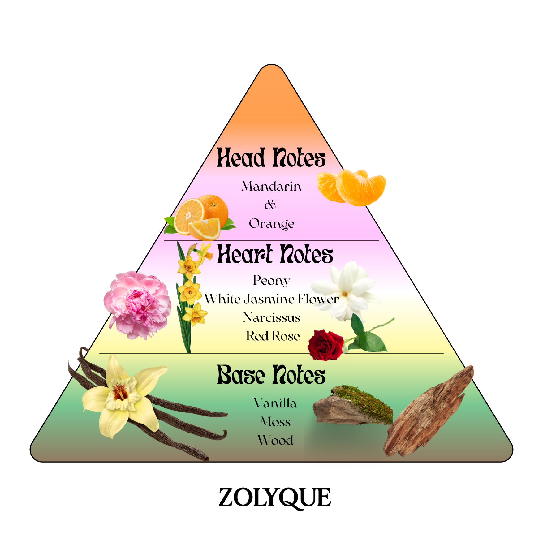 Fragrance pyramid showing head, heart, and base notes for Zolyque perfume, including mandarin, peony, and vanilla.