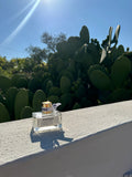 Hair perfume bottle on a sunny day with cacti in the background, showcasing Italian elegance and hydration for hair.